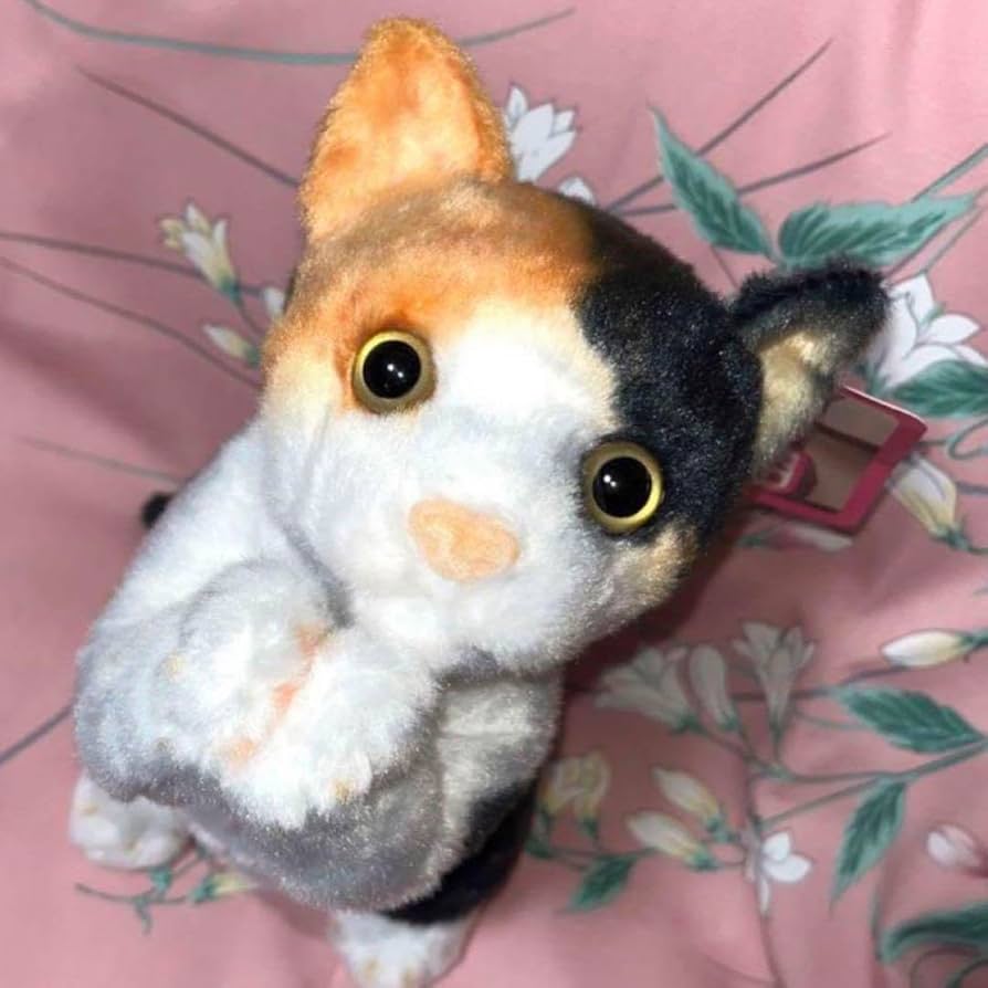 新品●舞-乙HiME ミコト ぬいぐるみ　猫 ねこ ネコ CAT●未開封美品 舞-乙HiME ミコト ぬいぐるみ猫 ねこ ネコ CAT○新品未開封美品